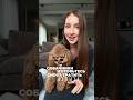 Готовьтесь снова тратить деньги 🐶