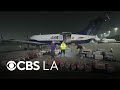 About 100 LA County dogs sent to Chicago after large-scale rescue operation