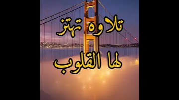 تلاوة تهتز لها القلوب
