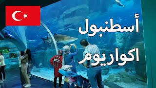 مول اكوا فلوريا  | اسطنبول اكواريوم | ساحل فلوريا |مدينة العاب فلوريا Aqua florya İstanbul akvaryu