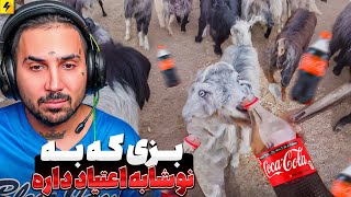Download Lagu Just In Iran 😂 یک بز در‌ ملایر کوکاکولا می خوره MP3