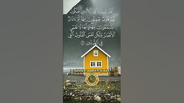 سورة الحج الاية 46 تلاوة شيخ الغامدي