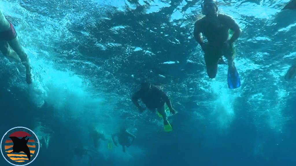 Extra Divers Aqua Center - YouTube
