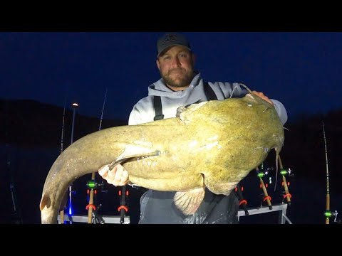 This Flathead Tried