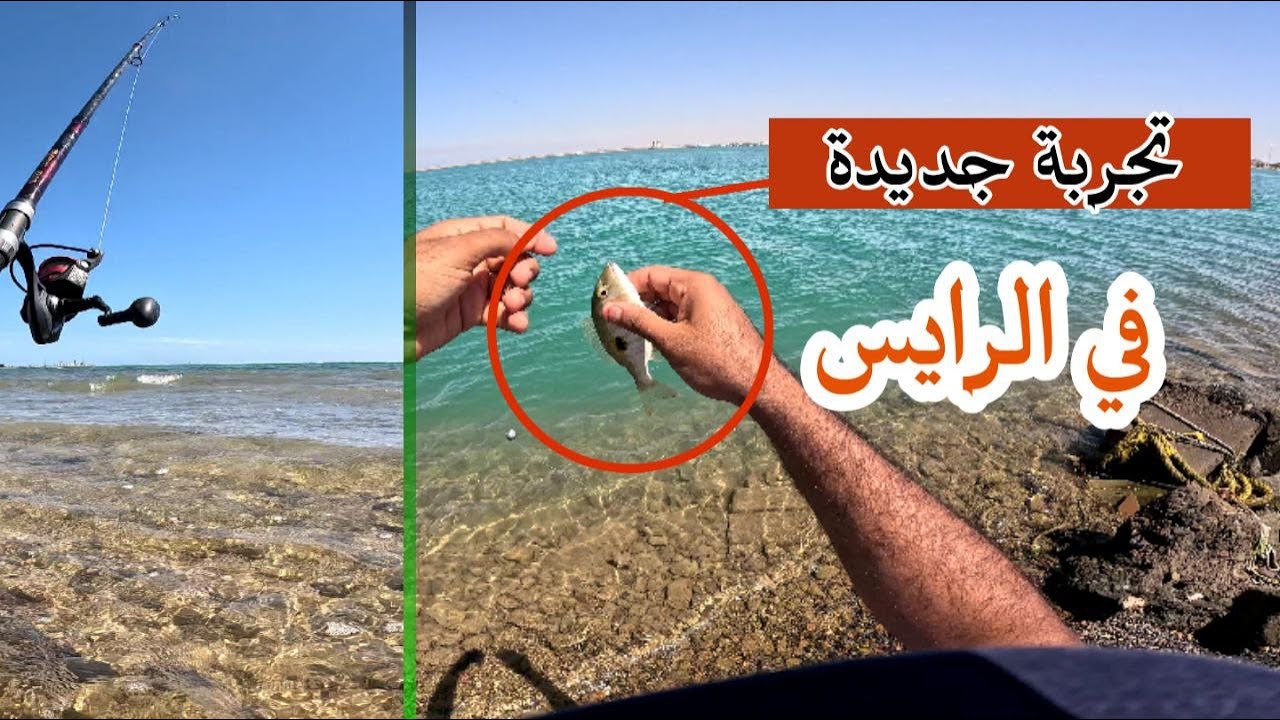 صيد السمك في اماكن جديدة في الرايس (شعور, خرم,)🎣🐟👍