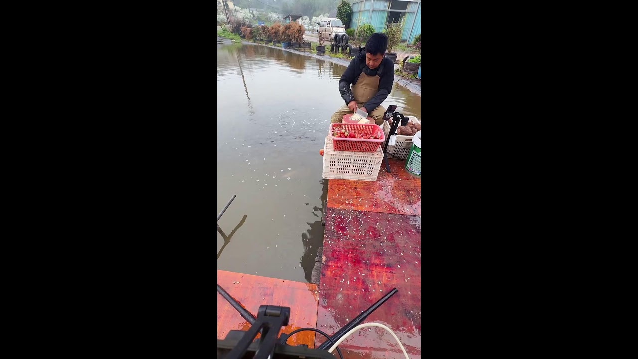 ❤️‍🔥LIVE STREAMING❤️‍🔥