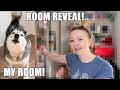 Secrets revealed  my husky claims the new room
