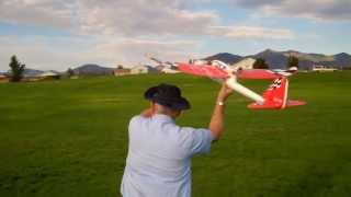 RC Wild Hawk 15 mph wind