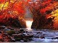 Autumn Forest River and Birdsongs sound - Amazing Relaxing Nature sound - NO LOOP -