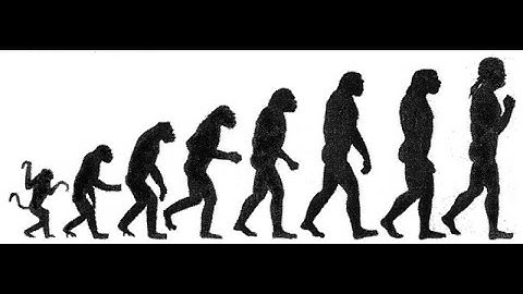 Eng. 1. The evolution of cooperation.