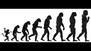 Eng. 1. The evolution of cooperation.