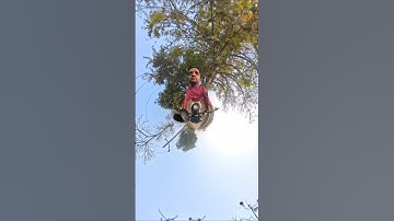 Insta 360 camera  #funny #360camera #insta360 #trending #shorts