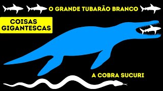 22 Coisas gigantescas – as maiores do mundo