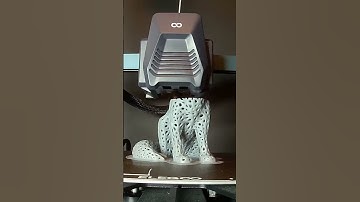 🦊 3D Printed Voronoi Fennec Fox: Unleash Elegance in Every Layer! 🦊 #3dprinting #cool3dprints #fox