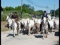 Les cavalcades mditrranennes 2013  mas thibert