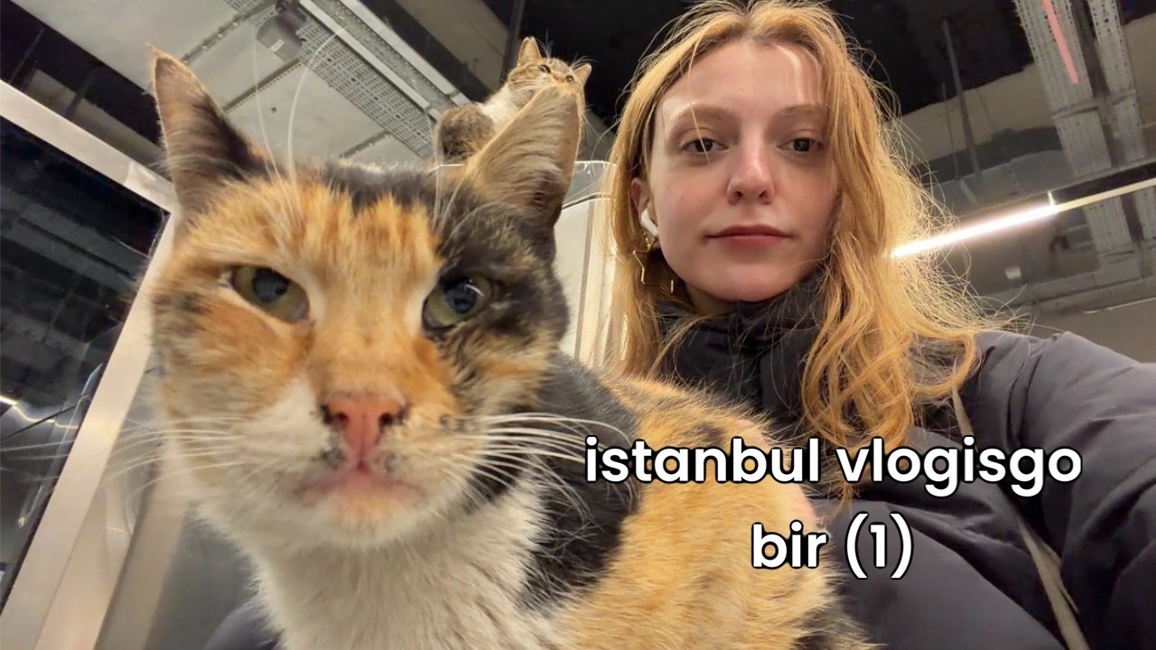 ya bi otobüs bitebilir mi ya