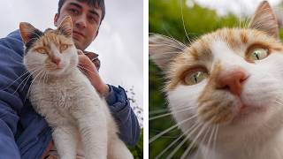 I sat on a bench and made a new best friend... #cat #kitten #luckypaws