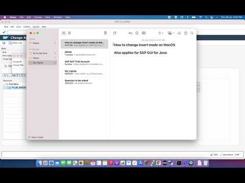 SAP Issue #1: SAP GUI for Java ||  SAP GUI for MacOS ||  Cursor Overwrite/Insert Issue