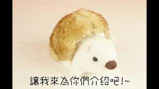 藝術生活彩繪數字油畫40*50標準版開箱影片