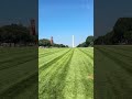 On the national mall between the capital and the Washington monument