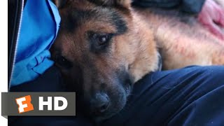A Dog's Purpose (2017) - I Need to Rest Scene (5/10) | Movieclips