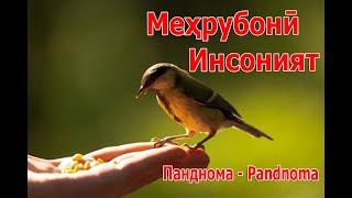 Қиссае дар мавриди инсоният ва меҳрубонӣ - قصه ای در مورد انسانیت و مهربانی - Одинамуҳаммад Одинаев