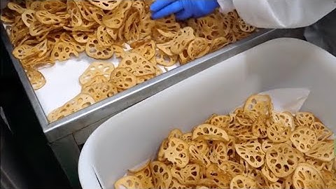 Crispy Lotus Root Chips Processing Factory Renkon Chips Peeling Slicing Frying Machine
