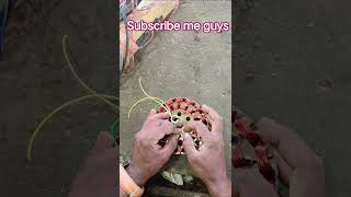 ceiling fan ka wiring kaise karen #reels #trending #shortvideo #viral
