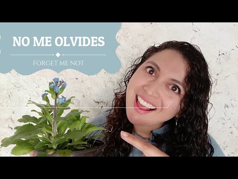 Video: Can I Eat Forget-Me-Nots - Cara Menggunakan Tanaman Forget-Me-Not yang Dapat Dimakan Dari Kebun