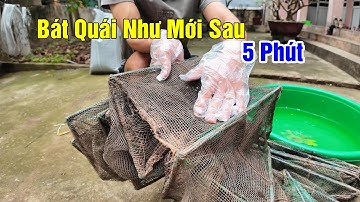Hướng Dẫn Cách Làm Lồng Bát Quái Như Mới Trong 5 Phút | Zalo: 0396.23.9999