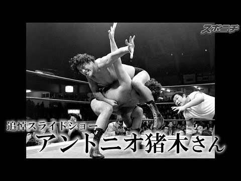 アントニオ猪木 1 【アントニオ猪木】BBM 1997 プロレスカード SPARKLING