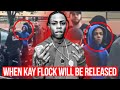 WHEN KAY FLOCK WILL BE RELEASED! FALSE EVIDENCE??