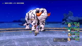 ドラクエ１０実況 震王ジュノーガ討伐 パラ魔法構成 3 53討伐 Youtube