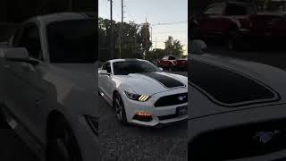 2015 Ford Mustang V6 Iconic Style With A Thrilling Ride
