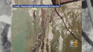 Rain Causing Dangerous Mold Problems
