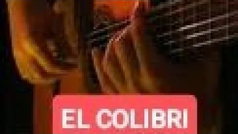 Nikola Starcevic - El Colibri  - (Official Video 2...