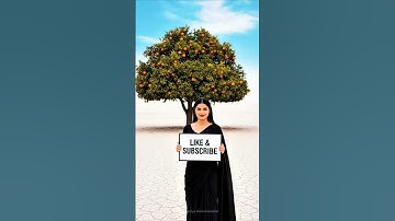A women saved an orange plant from drying up by watering it.😭#ai #save #tree #water #plants