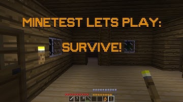 Minetest LP: Survive 11