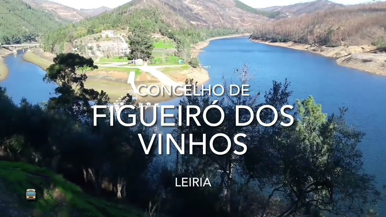 Vila de Figueiró dos Vinhos - Leiria