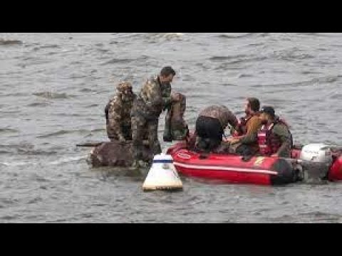 3 men and a dog rescued from the Black River after boat capsizes - YouTube