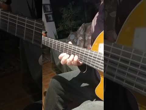 השמחה של הגיטרה 