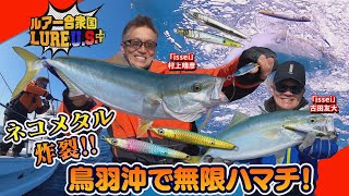 【ルアー合衆国プラス】ネコメタル炸裂‼︎鳥羽沖で無限ハマチ！