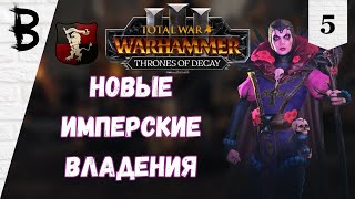 Total War: Warhammer 3 Thrones of Decay Элспет фон Дракен, Виссенланд #5 