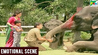 Main Tera Dushman - Emotional Scene 2 | Jackie Shroff, Jaya Prada, Sunny Deol, Sridevi