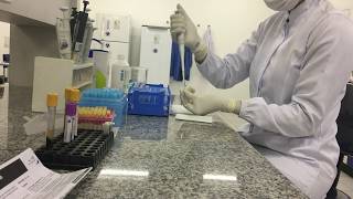 Bioquímica Clínica - Teste Glicose Procedimento