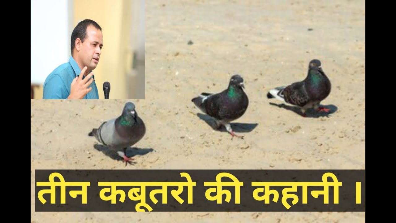Story of three pigeons - How to develop self consciousness? - YouTube