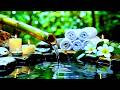 Deep Sleep Piano Music &amp; Water Sounds 🌙 Relaxing Music for Meditation, Spa, Yoga &amp; Healing