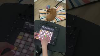 Playing piano for my dog as she sleeps