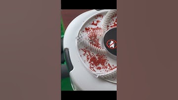 AmazingChina: Fly Trap 🪰