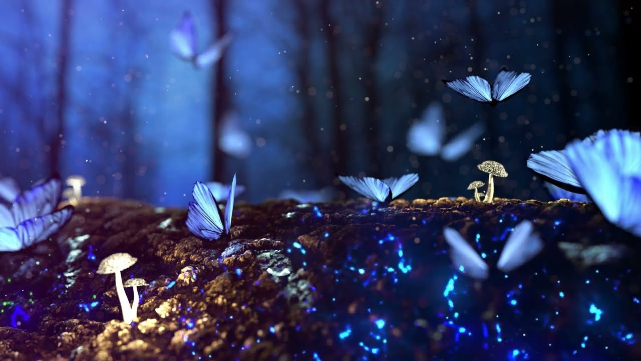 Watch Holy Emeralds - Intro on YouTube Watch Holy Emeralds - Intro on YouTube